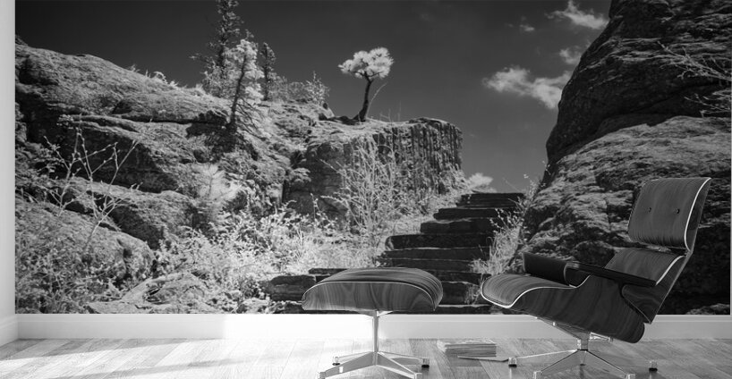 Stairway to Tranquility: Sylvan Lake Wall Murals