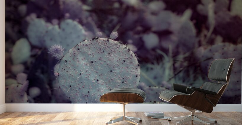 Desert Shadows: Purple Infrared Texas Cactus Wall Murals
