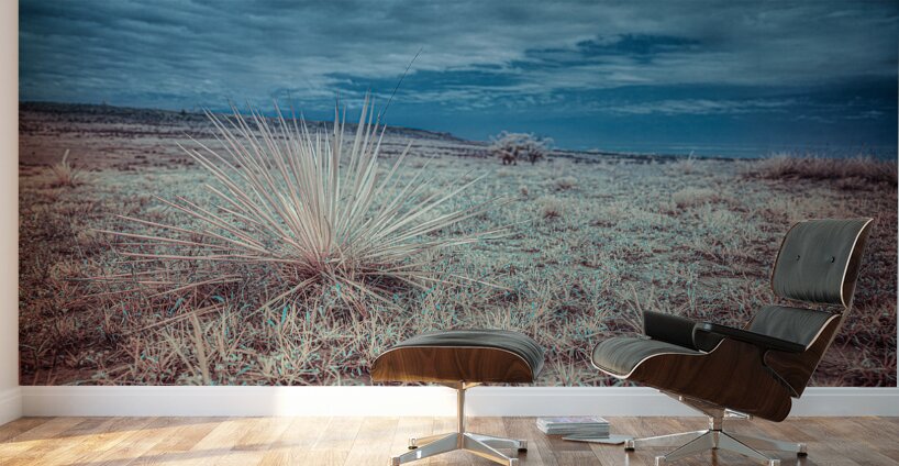 Lone Star Grass in Shamrock Wall Murals