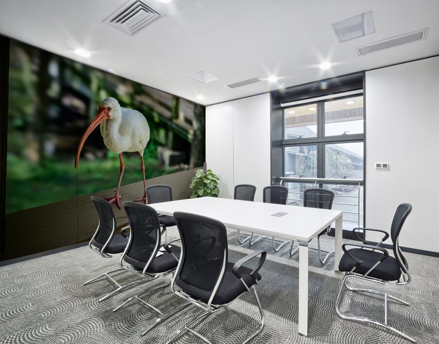 Symphony of Wings: A Birdwatchers Tale Wall Printing