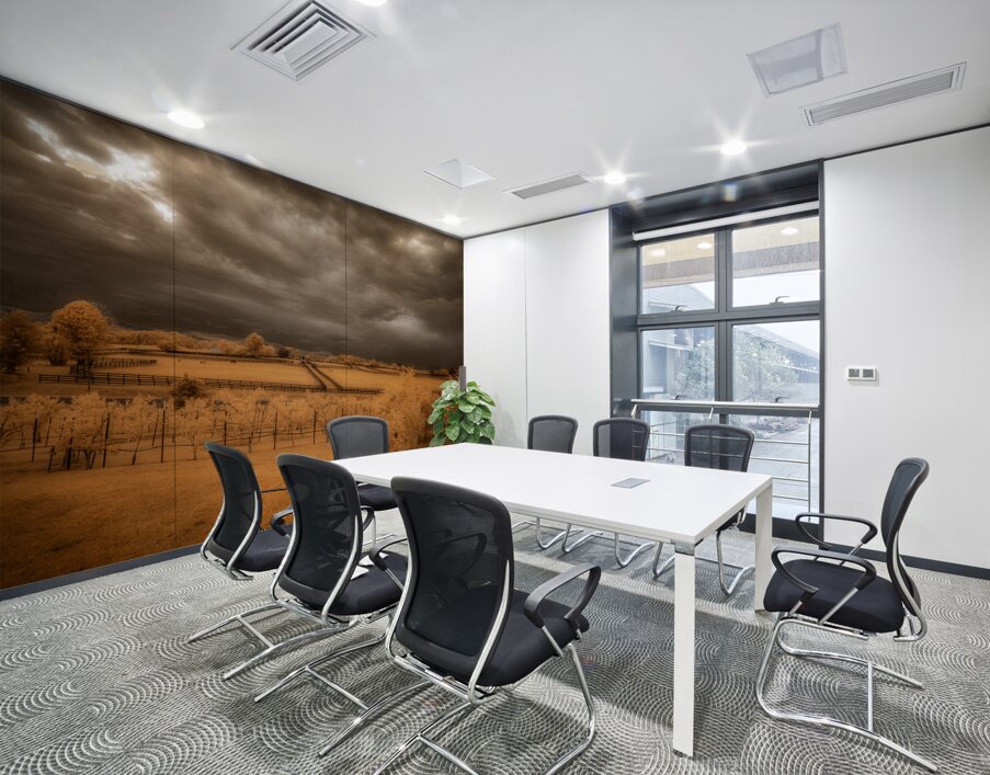 Golden Vineyard Wall Printing