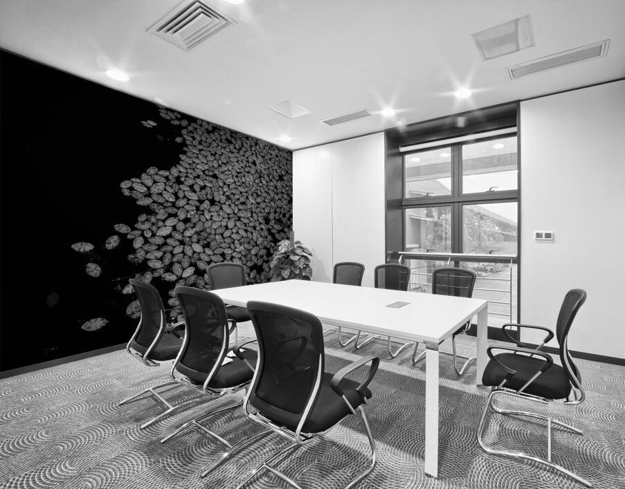 Lily Pad Dance Wall Printing