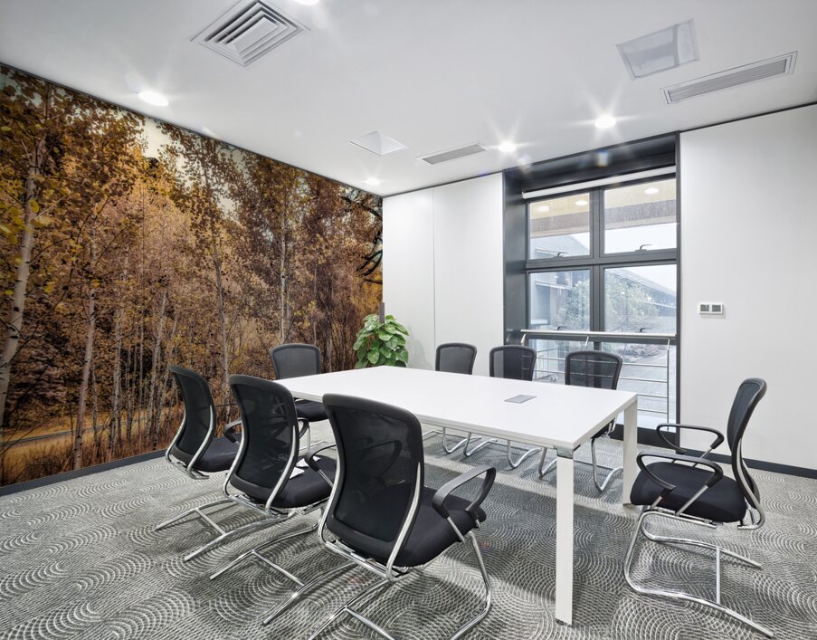 Serenade of Fall Foliage Wall Printing