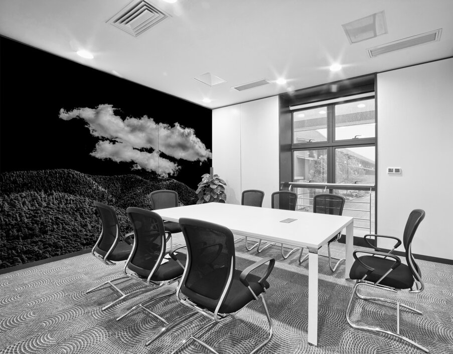 Ethereal Tension Wall Printing