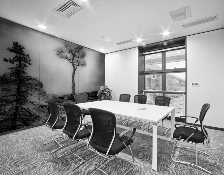 Serene Sylvan Lake: Alone on the Hill Wall Printing