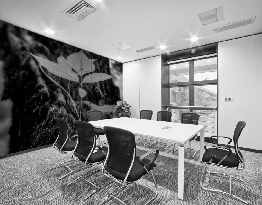 Natures Delicate Balance Wall Printing