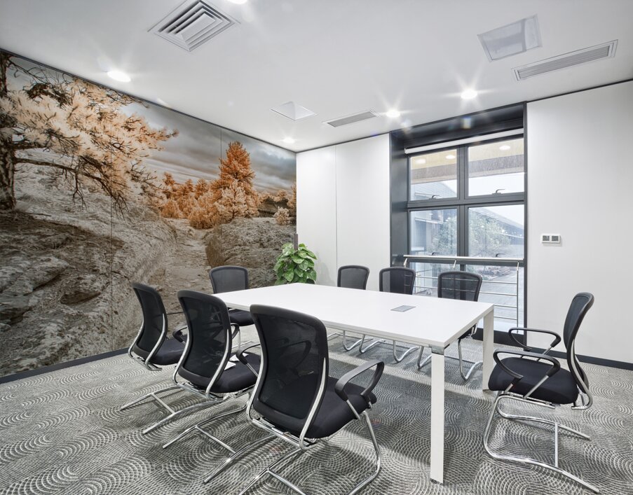 Westward Dreams: Pioneer Paths Wall Printing