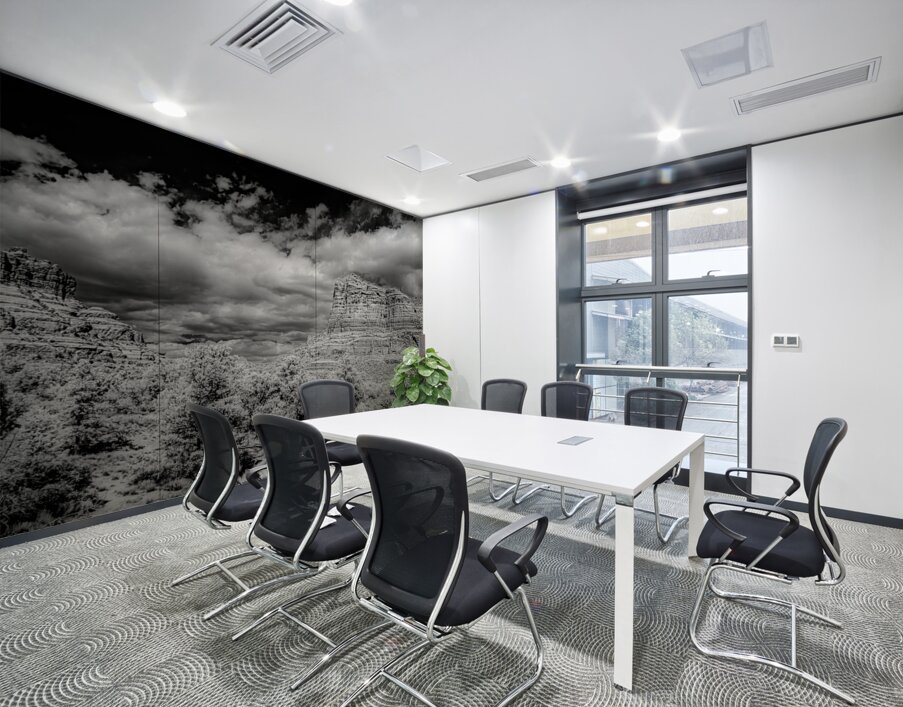 Desert Majesties in Monochrome Wall Printing