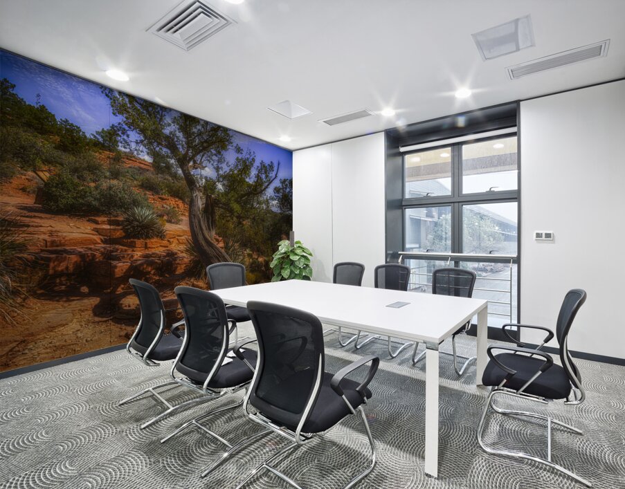 Windswept Harmony of Bark and Sky Wall Printing