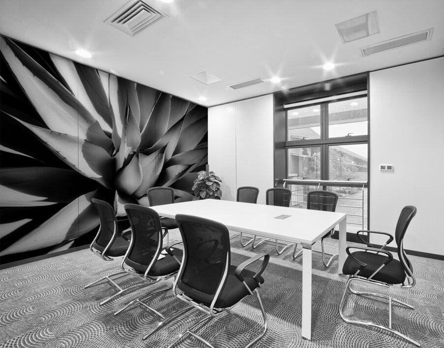 Silent Symphony of Leafy Angles Wall Printing