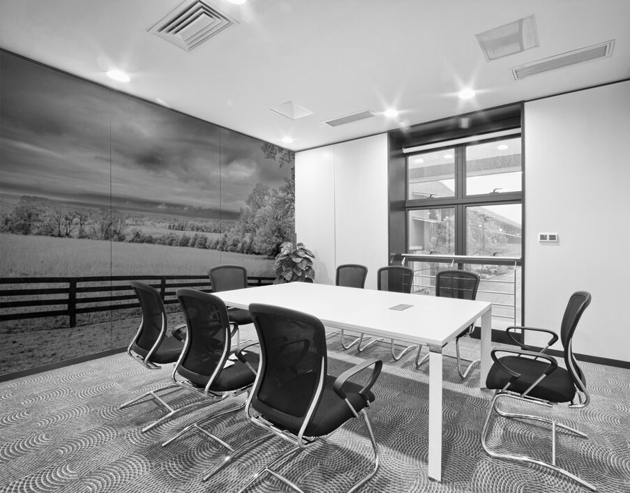 Lines of Legacy Wall Printing