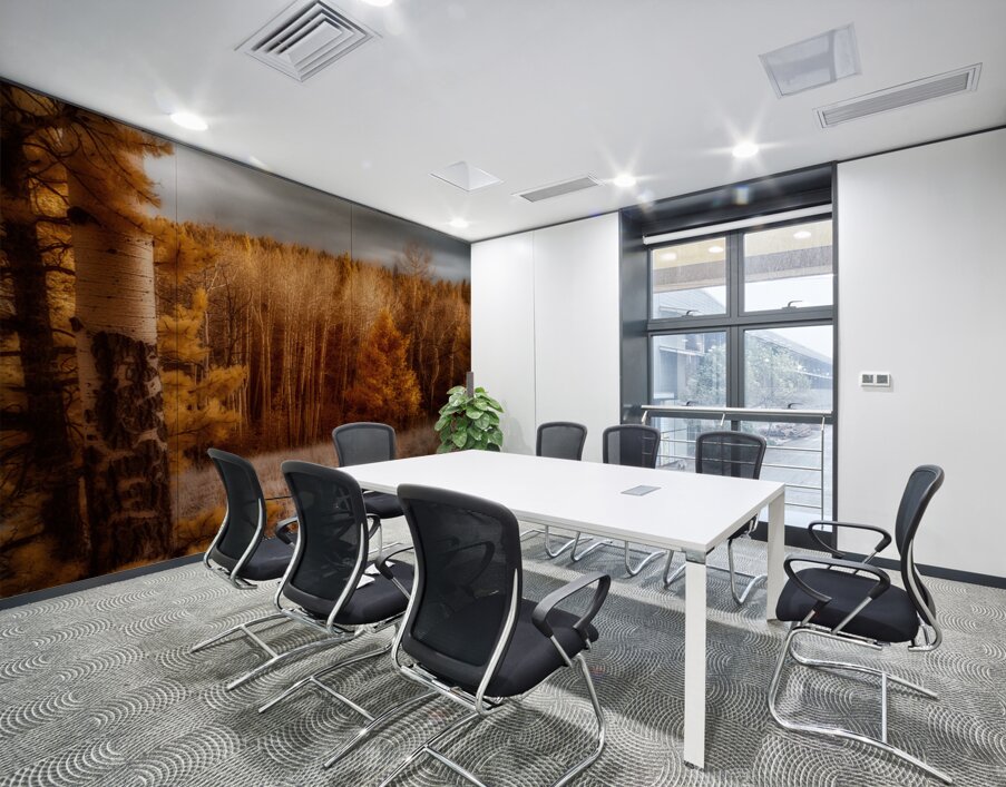 Mueller Aspen Series: Wall Printing