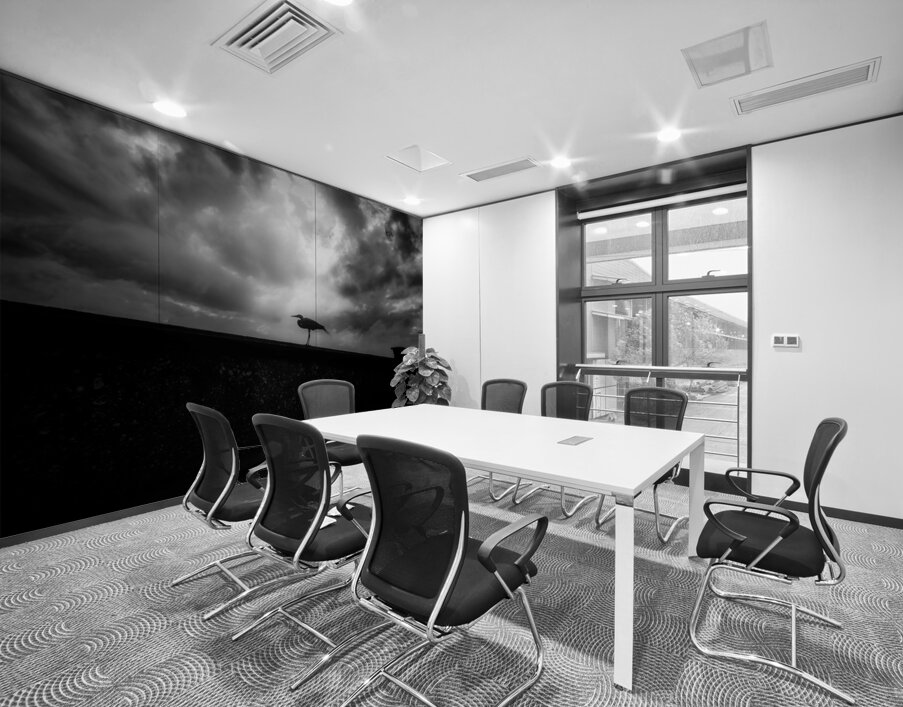 Rainy Day Stroll: Capturing Serenity with a Silhouetted Bird in  Wall Printing