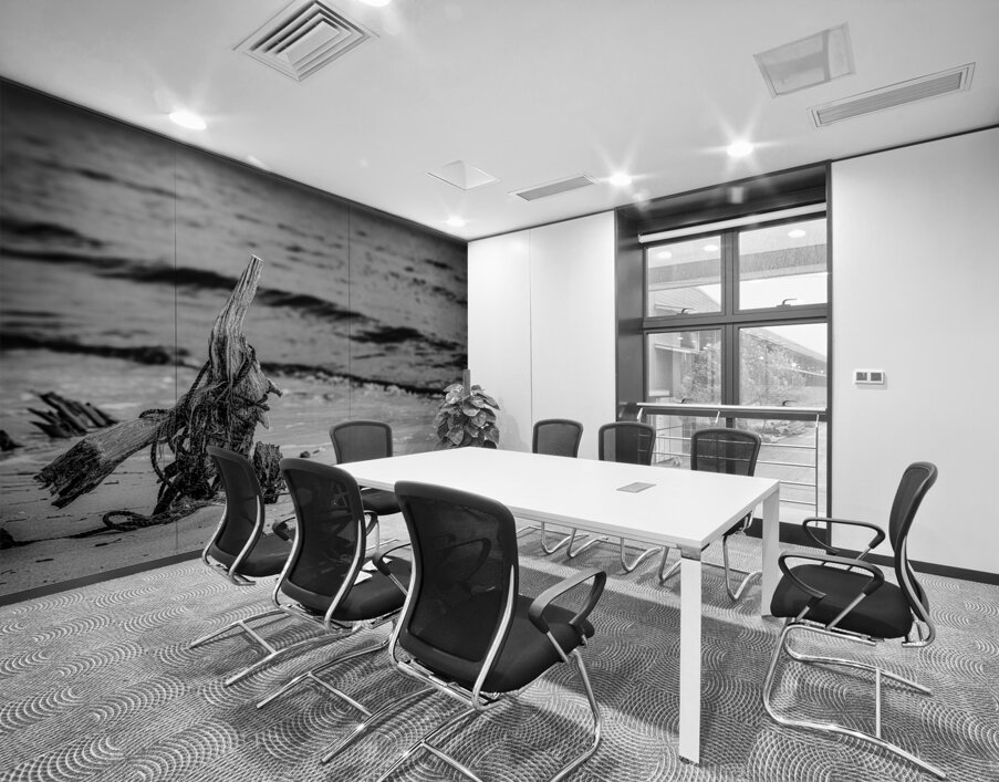 Driftwood Rhapsody on Serene Sands Wall Printing