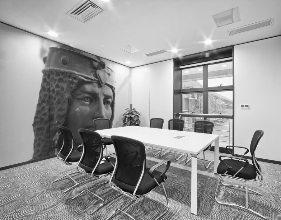 Southern Sentinel Wall Printing