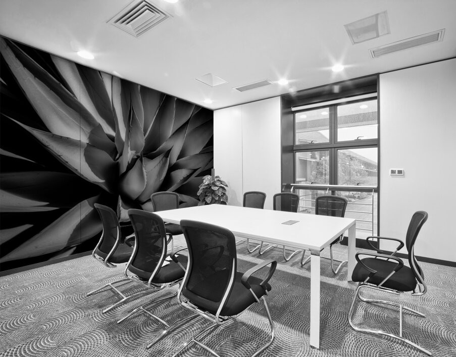 Silent Symphony of Leafy Angles Wall Printing