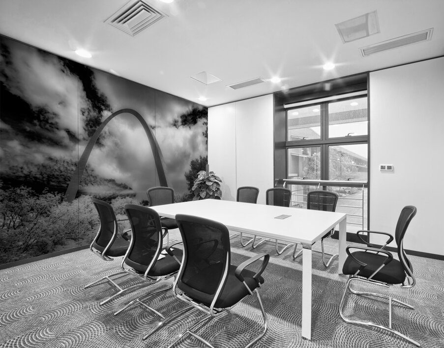 Infinite Curves in Saint Louis Wall Printing