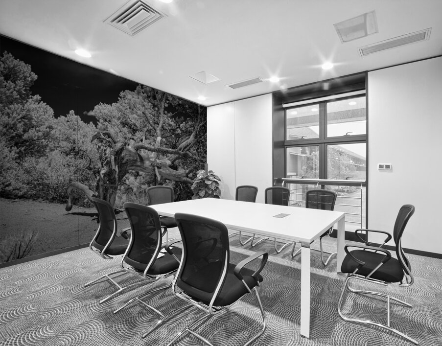 Mountain Guardians Rest Wall Printing