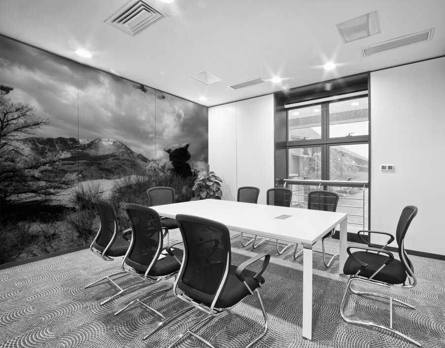 Monochromatic Majesty: A Dual Journey through the Garden of the Gods Wall Printing