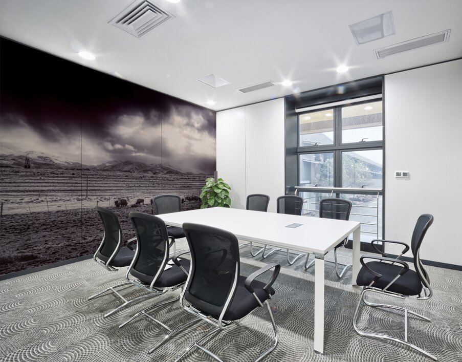 Stormy Bison Territory Wall Printing