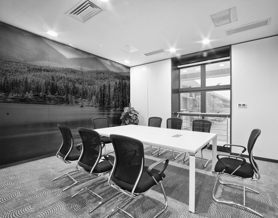 Wilderness Elegance: Moose in Rocky Mountain Park Wall Printing