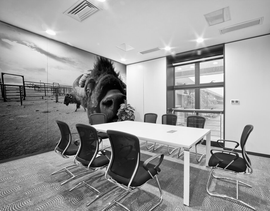 Hello: A Bison’s Surprise Greeting Wall Printing