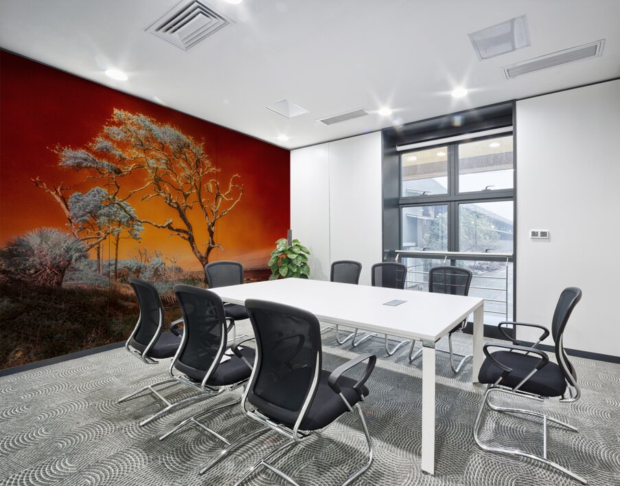 Ruby Bonsai: A Botanical Marvel Unveiled on Driftwood Beach Wall Printing