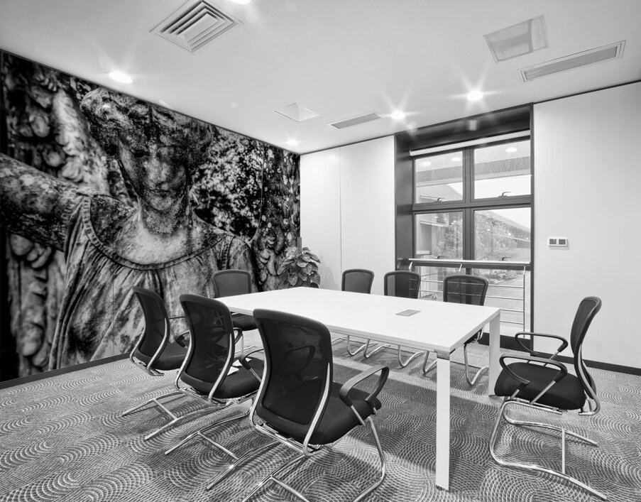 Silent Sorrow: Unveiling the Grieving Guardian at Oak Grove Cemetery Wall Printing