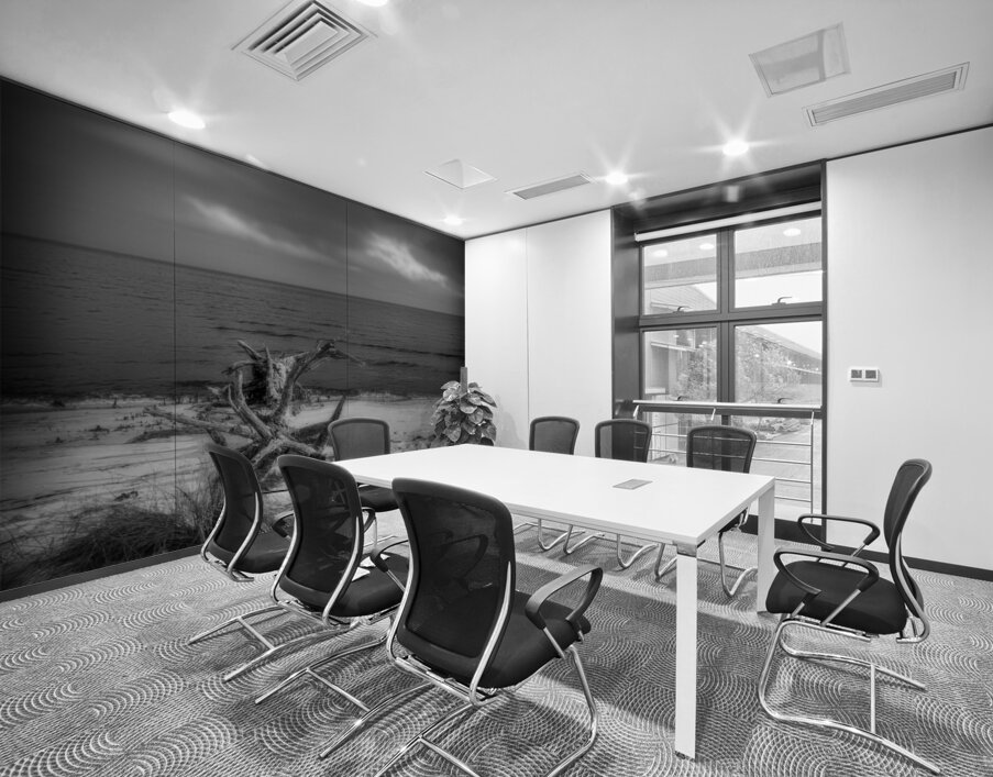 Driftwood Dreams: Bald Point State Park Wall Printing