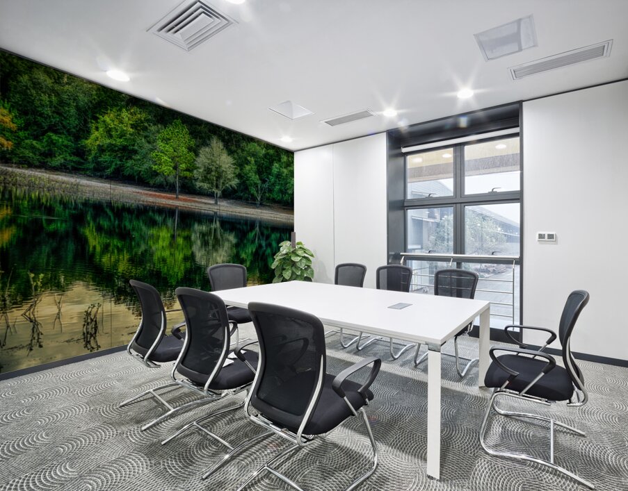 Florida Dreamscapes: Indian Lake State Forest Wall Printing