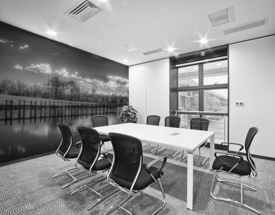 Tranquil Reflection: Florida Dead Lakes Wall Printing