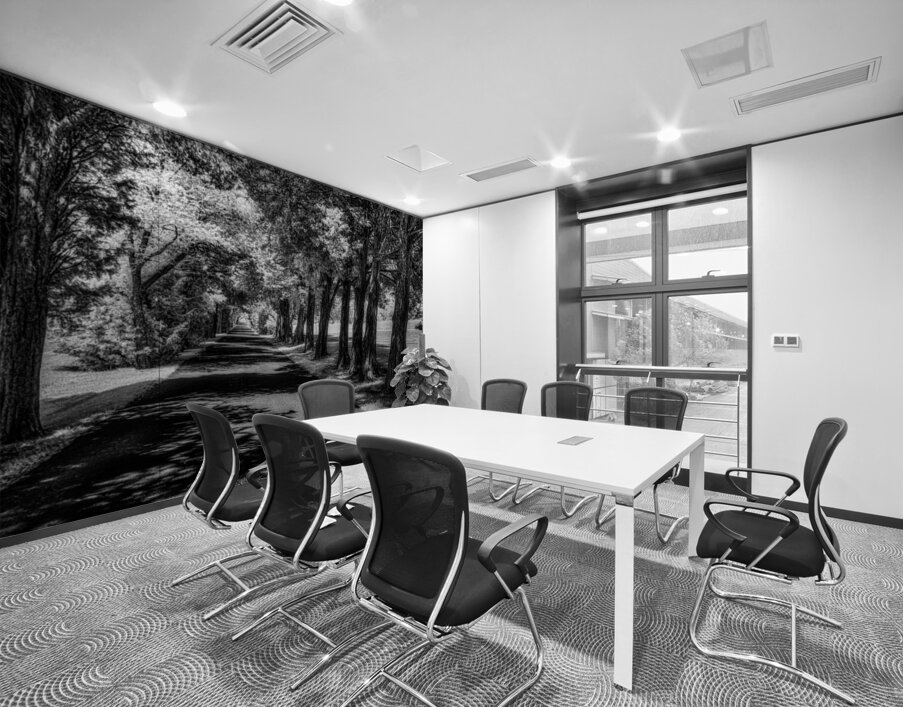 Shadows Path Beckons Wall Printing