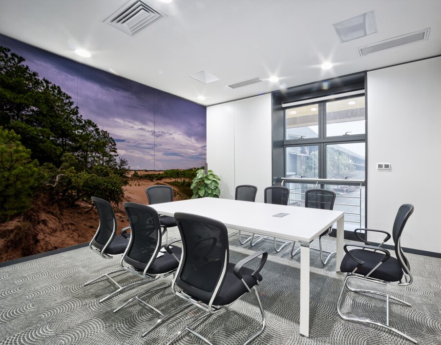 Jockey Ridge State Park Wall Printing