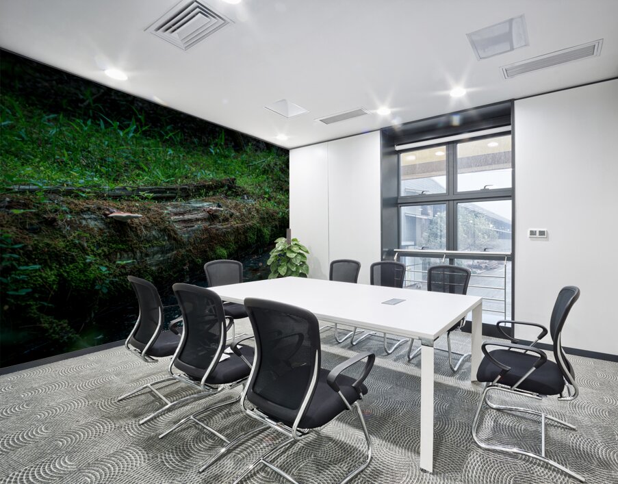 Fungi and Dirty Pool Wall Printing