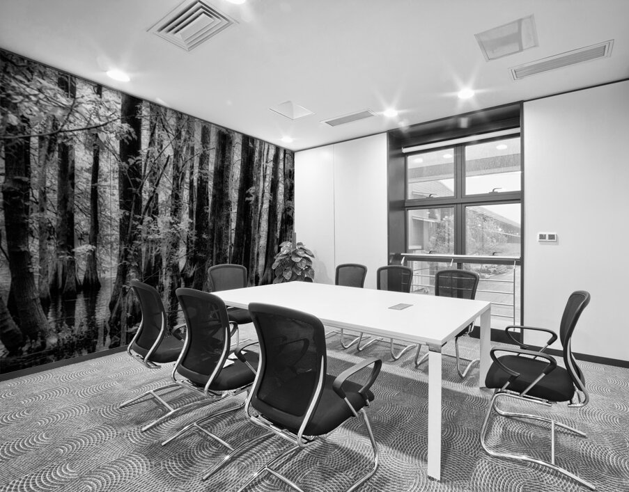 Cypress Whispers Wall Printing