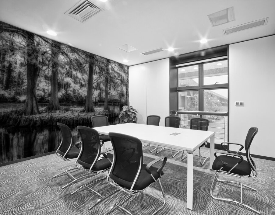 Four Bald Island Wall Printing