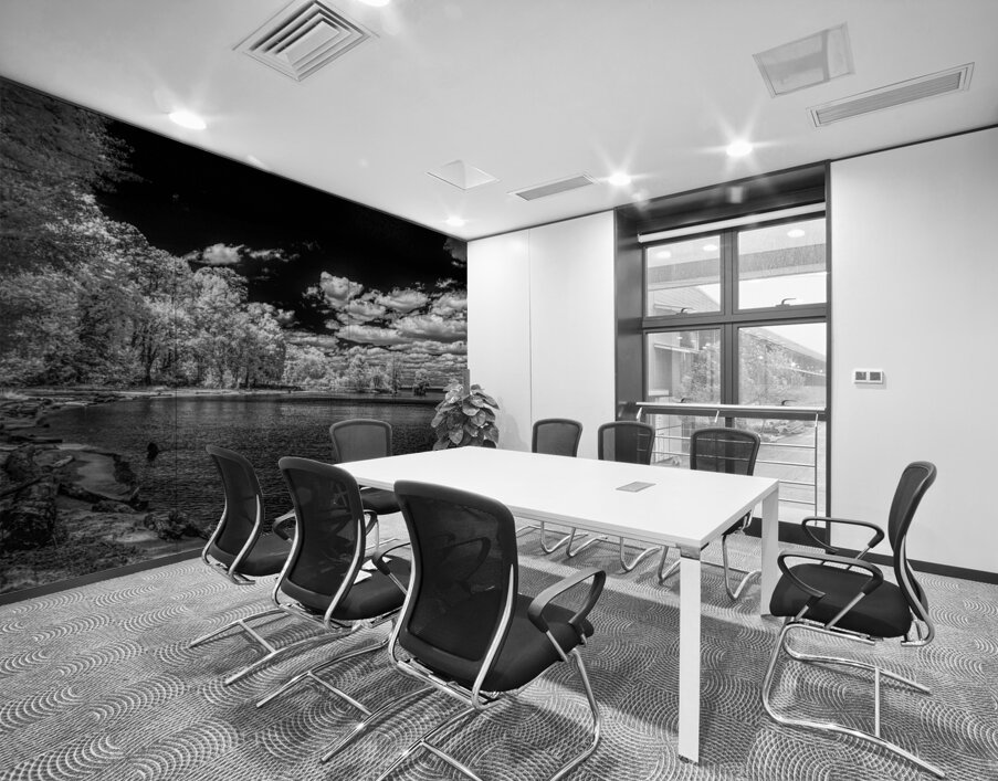 Mystical Waters: Stark Cove in Santee Wall Printing