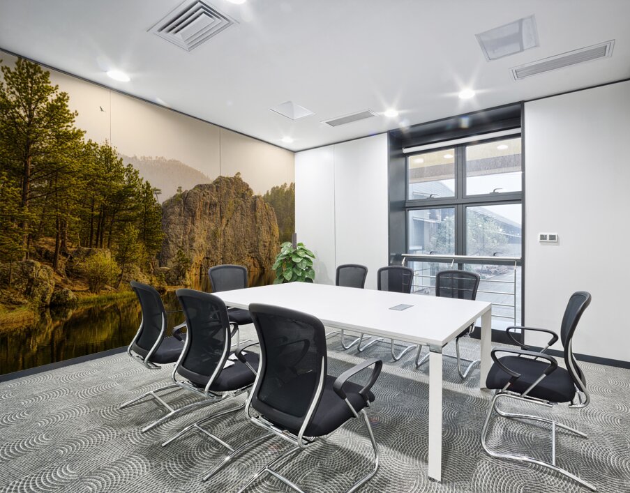 Soaring over Legion Wall Printing