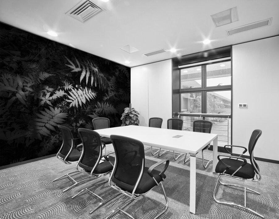 Lighted Fern Wall Printing