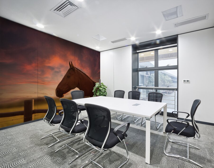 Dreams Beyond the Fence Wall Printing