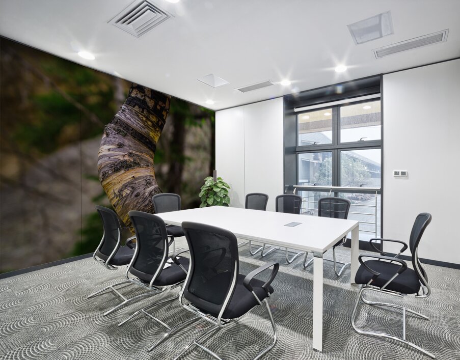 Exploring Sylvan Lake: Capturing the A Bent Aspen Wall Printing