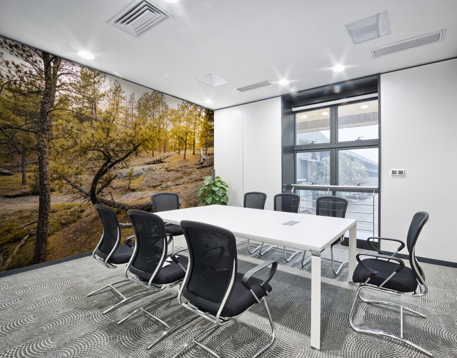 Natures Golden Arc Wall Printing