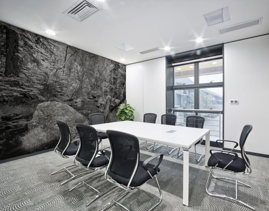 Monochromatic Serenity: Exploring Grace Coolidge Creek in Custer - Tall Wall Printing