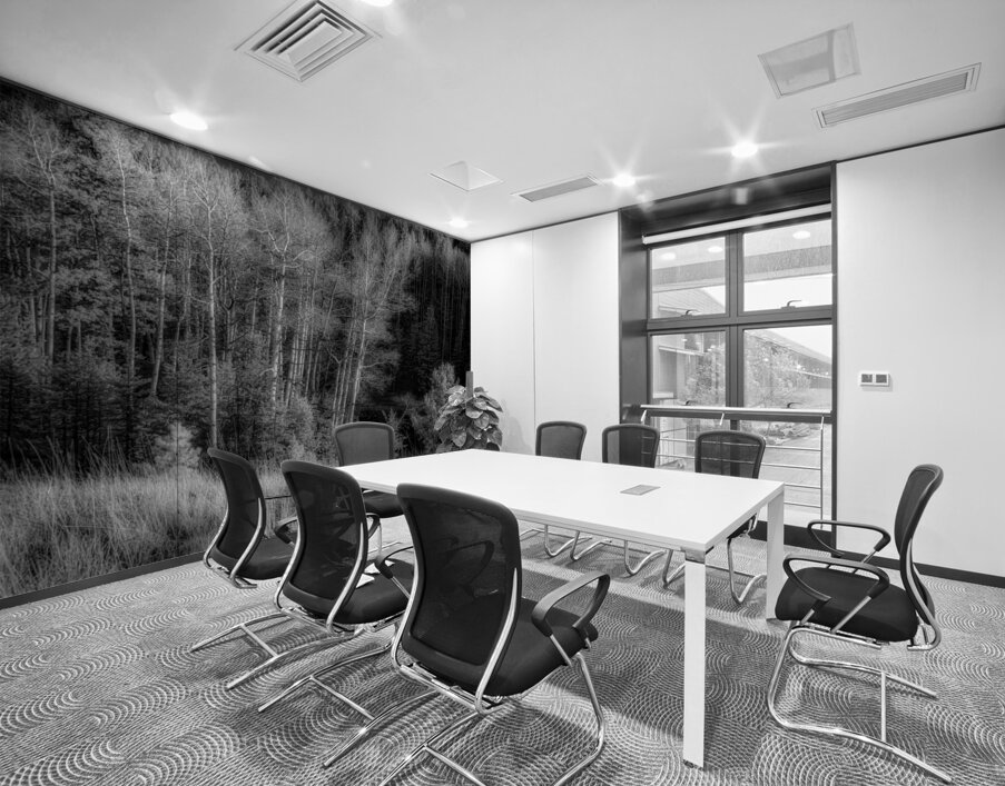 Mueller Aspen Series: Twilight Whispers Wall Printing