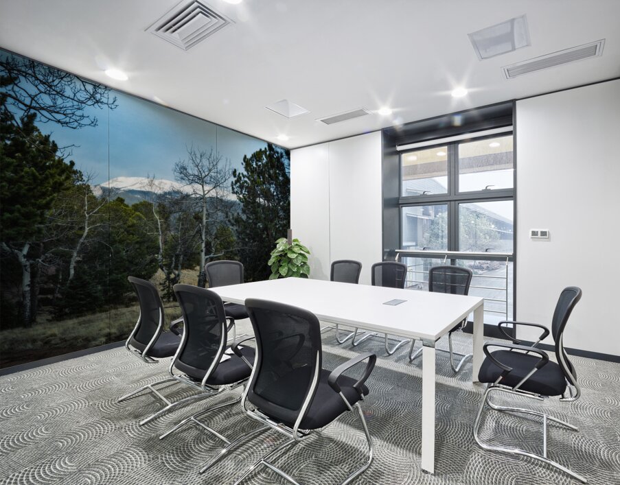 Mueller Aspen Series: Aspen Mountain Wall Printing