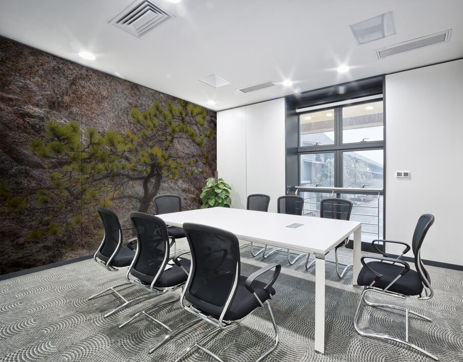 Solitary Pine on Granite: A Snapshot of Sylvan Lakes Tranquility Wall Printing