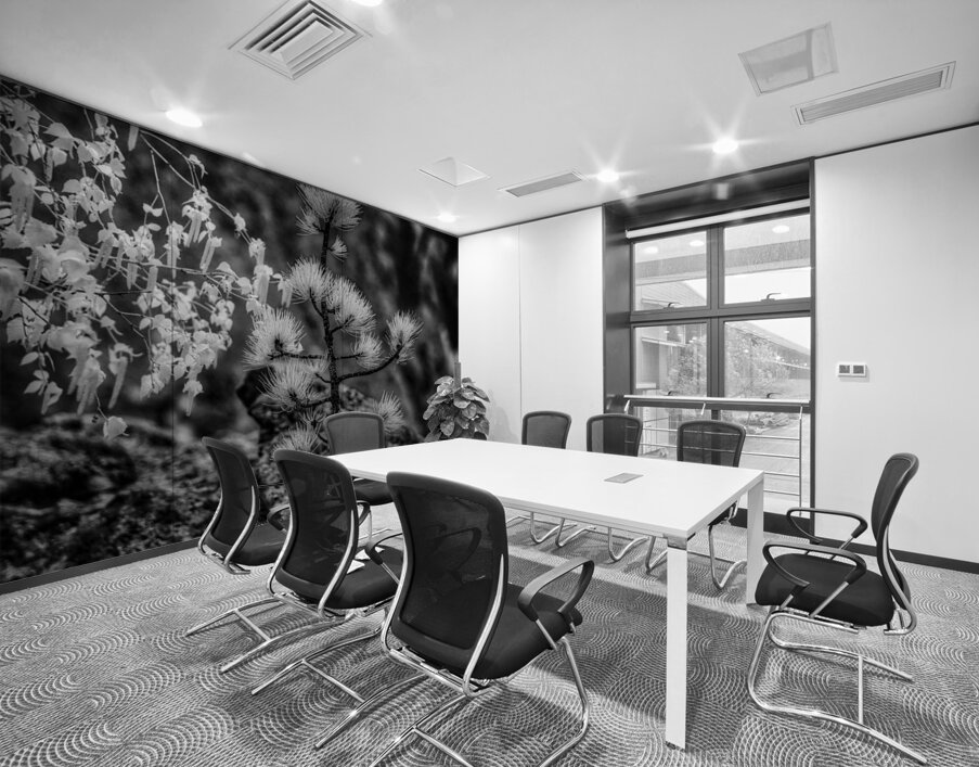 Exploring Sylvan Lake: A Magical Encounter with a Tiny Pine Wall Printing