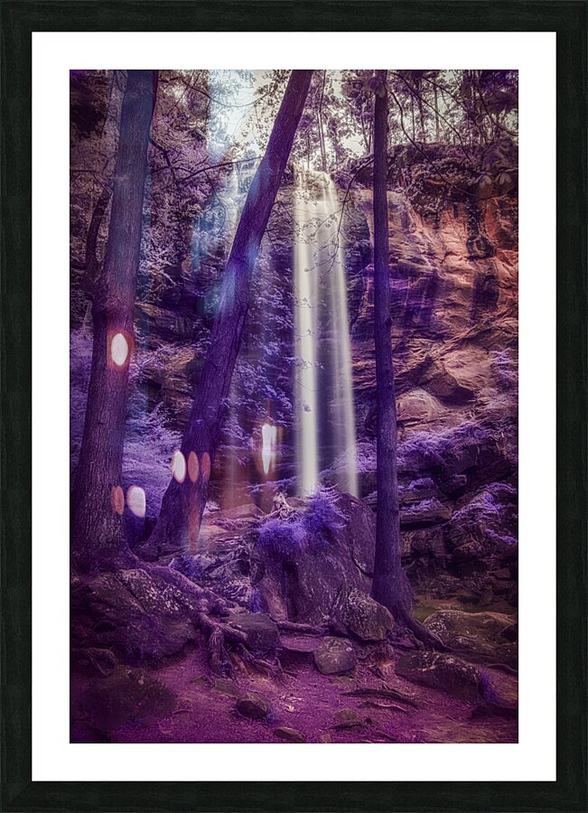 Violet Dream Picture Frame print