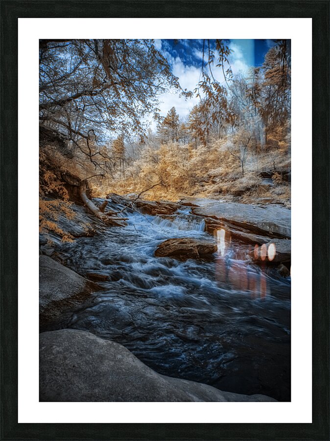 Riverside Whispers Picture Frame print