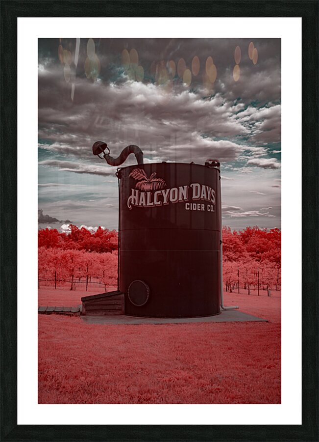 Dragon Dance at Halcyon Picture Frame print